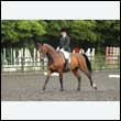 durdress26_0843