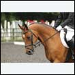 durdress26_0848