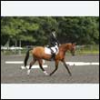 durdress26_0849