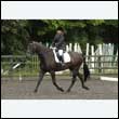 durdress26_0851
