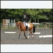 durdress26_0853