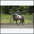durdress26_0856