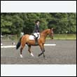 durdress26_0857