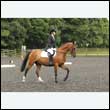 durdress26_0858