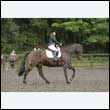 durdress26_0860