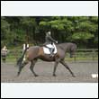 durdress26_0861