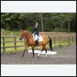 durdress26_0862