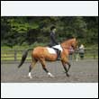 durdress26_0866