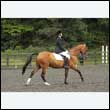durdress26_0867