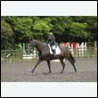 durdress26_0868