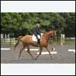 durdress26_0870