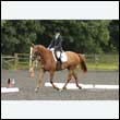 durdress26_0871