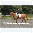 durdress26_0872