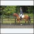 durdress26_0873
