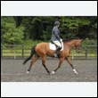 durdress26_0874
