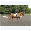 durdress26_0875