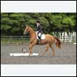 durdress26_0876