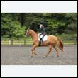 durdress26_0877