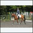 durdress26_0878
