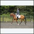 durdress26_0879