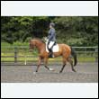 durdress26_0880