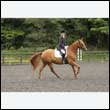 durdress26_0881