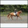 durdress26_0882
