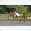 durdress26_0883