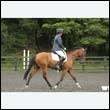 durdress26_0885