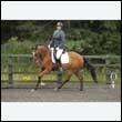 durdress26_0886