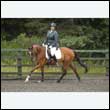 durdress26_0887