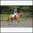 durdress26_0888
