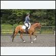 durdress26_0889