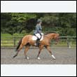 durdress26_0890