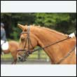 durdress26_0892