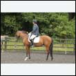 durdress26_0893