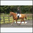 durdress26_0895