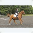 durdress26_0896