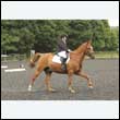 durdress26_0897