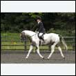 durdress26_0902