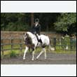 durdress26_0904