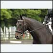 durdress26_0907