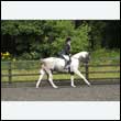 durdress26_0911