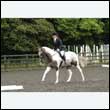 durdress26_0912