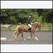 durdress26_0925