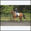 durdress26_0936
