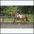 durdress26_0937