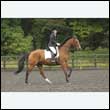 durdress26_0940