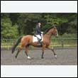 durdress26_0941