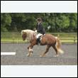 durdress26_0942